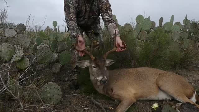 Better Lucky Than Good - 3 Texas Archery Hunts