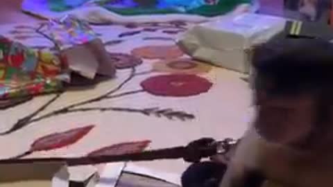 Present Wrapping!!!! Come wrap presents with me!!!!