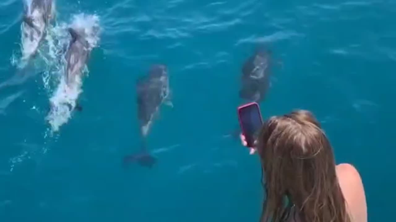 Boating alongside dolphins
