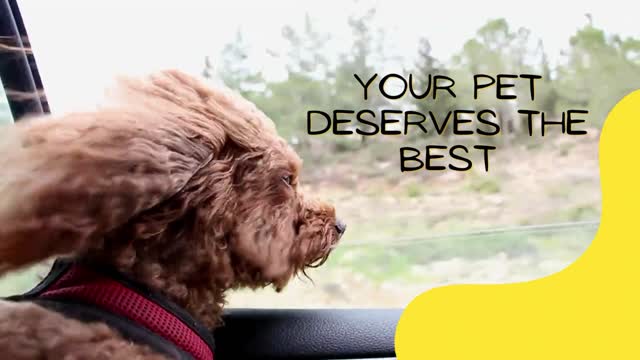 Your pet deserves the best