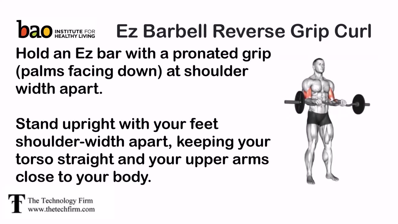 exercise Ez Barbell Reverse Grip Curl