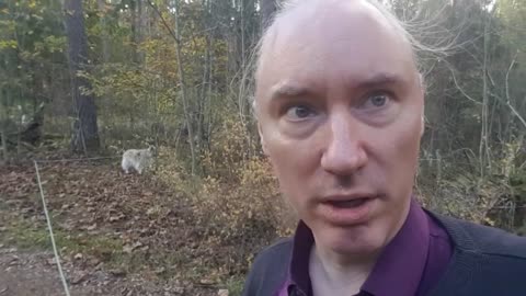 Direktsändning kl 21:00