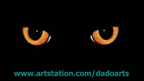 DADOARTS KAT