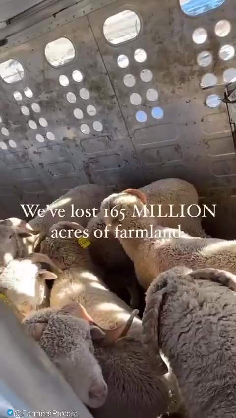 🚜🇺🇸 America Farming