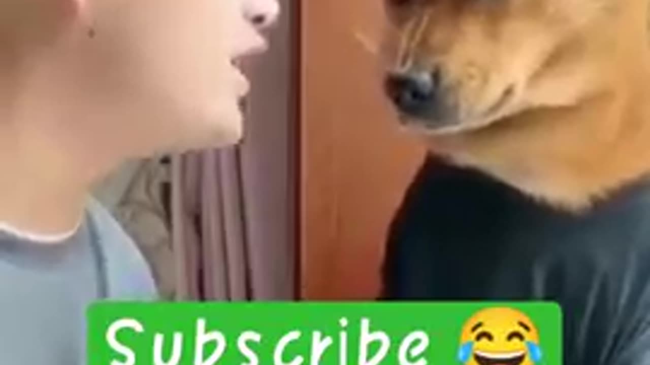 angry_dog, angry animal, short video