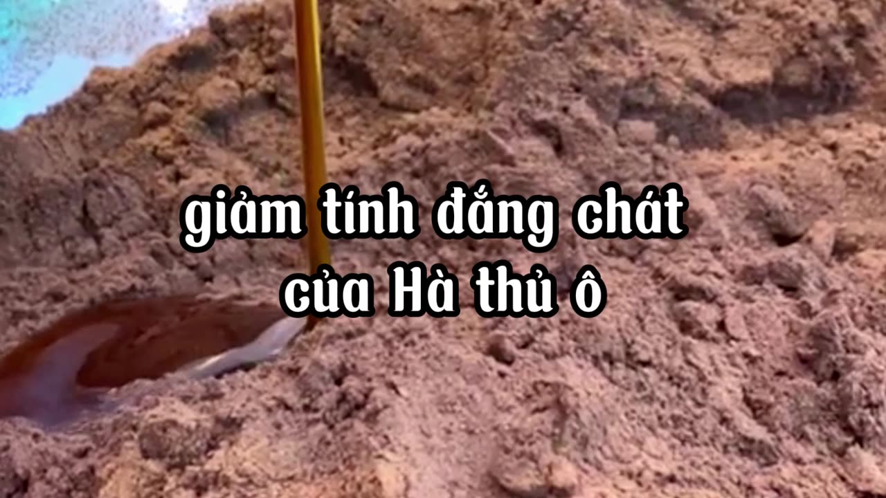 Quy Trình Làm Viên Hà Thủ Ô Đỏ Mật Ong Rừng Chuẩn Nhất