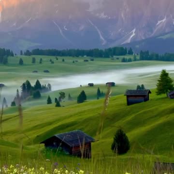 Take your smile by the hand and go into the day.