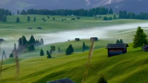 Take your smile by the hand and go into the day.