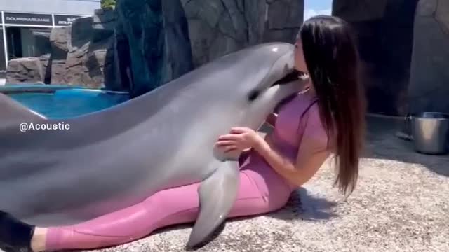 -Dolphins are one of most cutest animal ever🥰 🐬