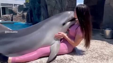 -Dolphins are one of most cutest animal ever🥰 🐬