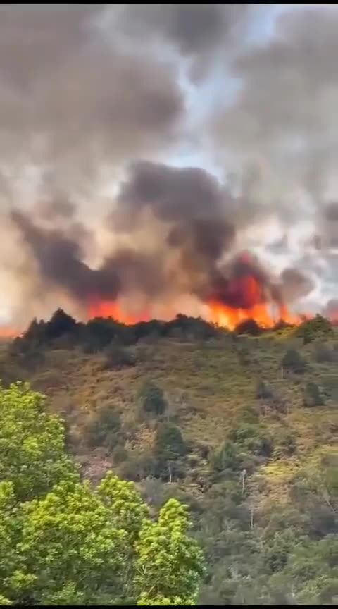 Incendio en Piedecuesta