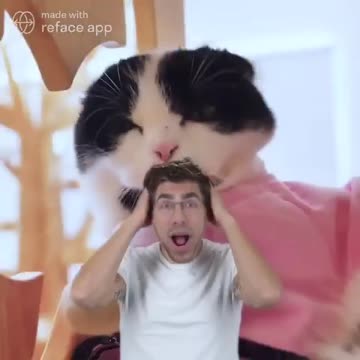 Cute Cat Moment! 🐈