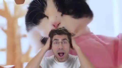 Cute Cat Moment! 🐈