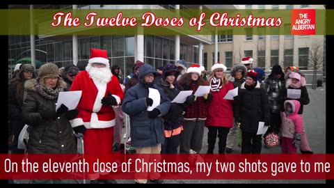 Original 12 Doses of Christmas from 2021