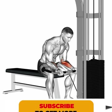 Forearm Mastery Unleashed #forearmworkout #strengthtraining #shorts #armsworkout #arms #shortvideo