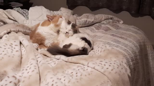 The love ended