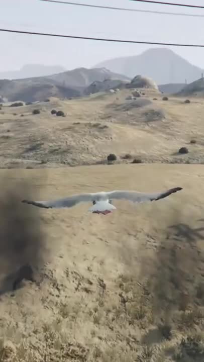 🎶Fly Like A Seagull🎶 #gta5 #seagull #subscribe for more!
