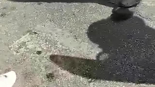 ΓΙΟΥΧΑΙΣΜΑΤΑ