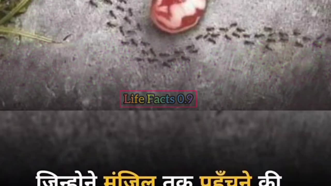 Motivational quotes in hindi 🎵🎶🎵💯💯💕❤️💞🆔🎶🎶🎵