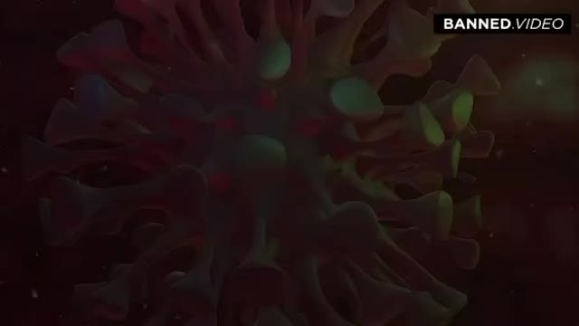 Info Wars, Fight Back against the fake narrative.