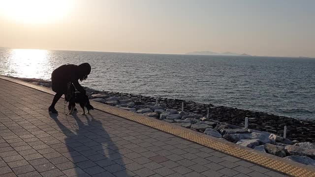 Have a nice time with a dog in a marine park