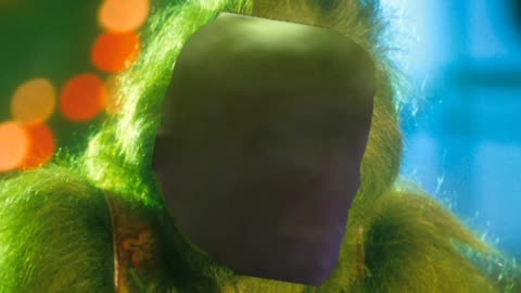 The Dr. Who Stole My Christmas. Your A Fuck Head Dr Grinch!!