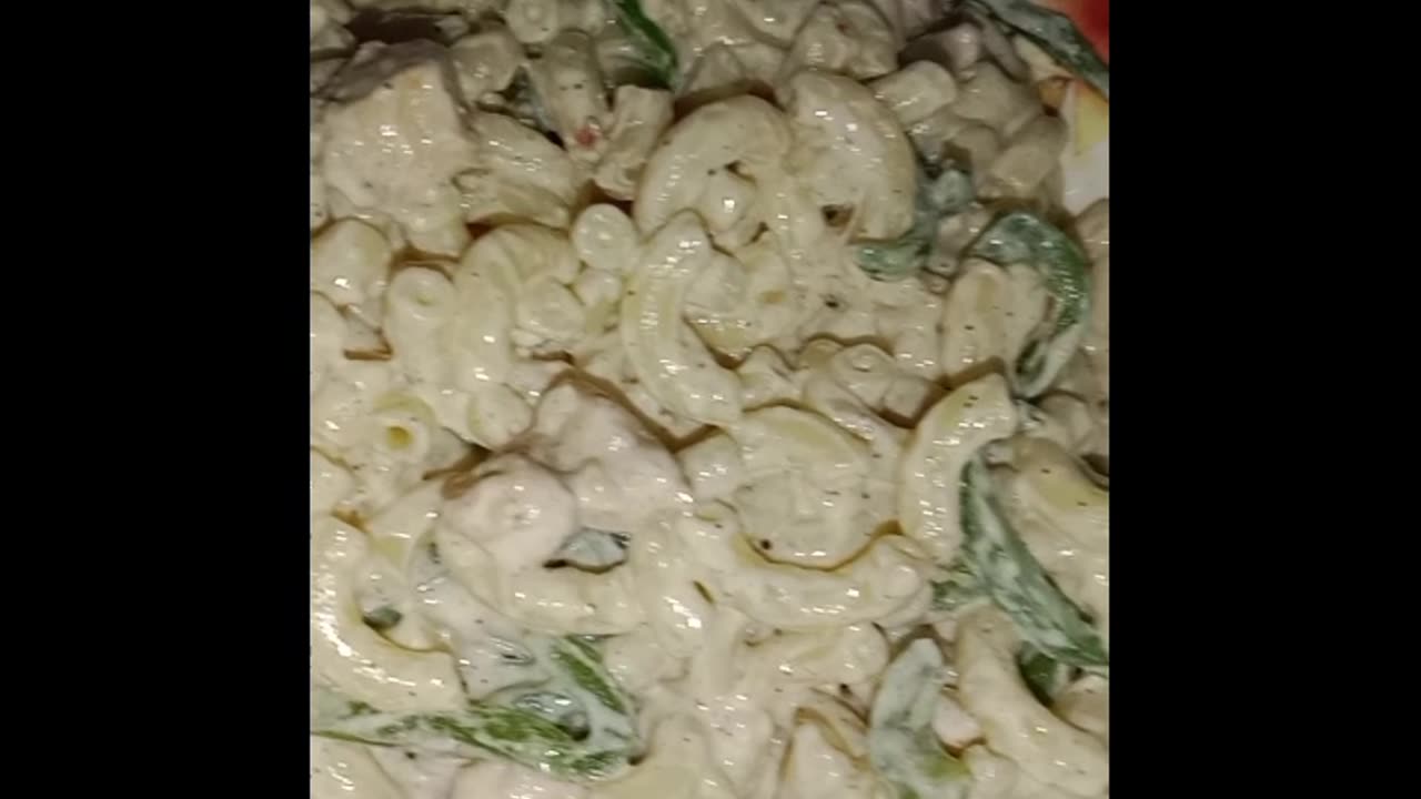 Creamy White Sauce Pasta