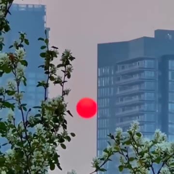 Red sun