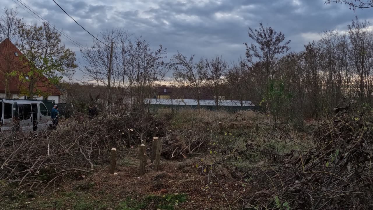 Time-lapse - Clearing the land Part 2