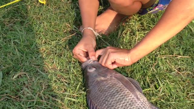 Boy Catches Fish...With A Toy Fishing Pole