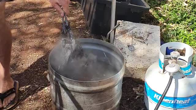 chicken cleaning machine