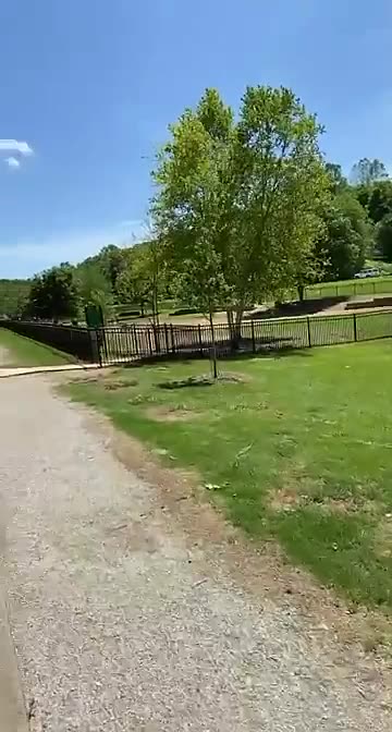 Bringing dog to dog park