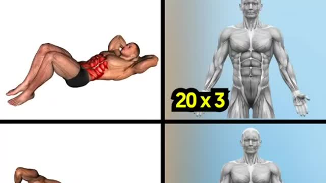 Home Workout Exercises For Abdominal Muscles