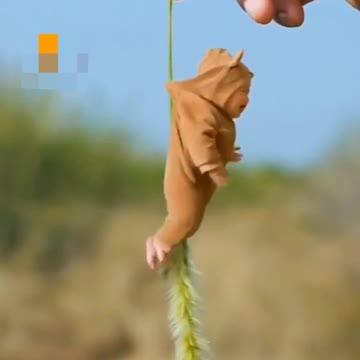 Episode #111 Cute American Baby Viral Video