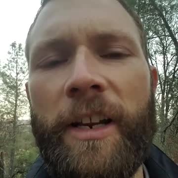 耶稣的追随者是 "教会 "的敌人(warningthepeople)Jesus Followers Are Enemies of church