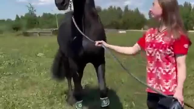 A MAGNIFICENT BEAUTIFUL HORSE HOLD BY THIS YOUNG GIRL