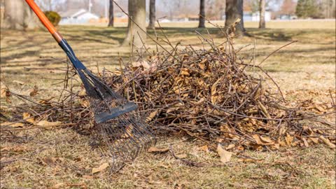 Grass Slayers of Louisiana - (225) 208-8326