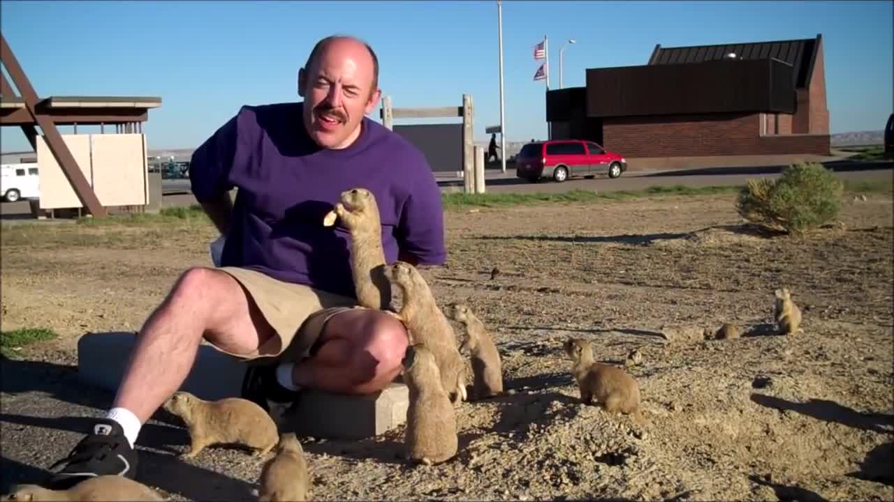Prairie Dogs Playing - CUTEST Compilation