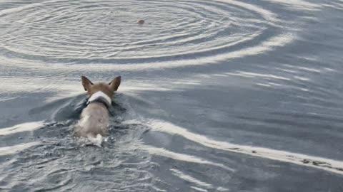 Playing Catch at Lake Havasu