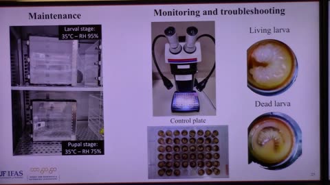 Impact of Mosquito Insecticides on Honeybees