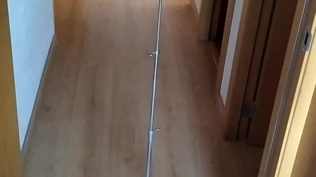 Robot Vacuum Carries Conductor's Stand