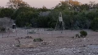 Quiet Evening in the Blind