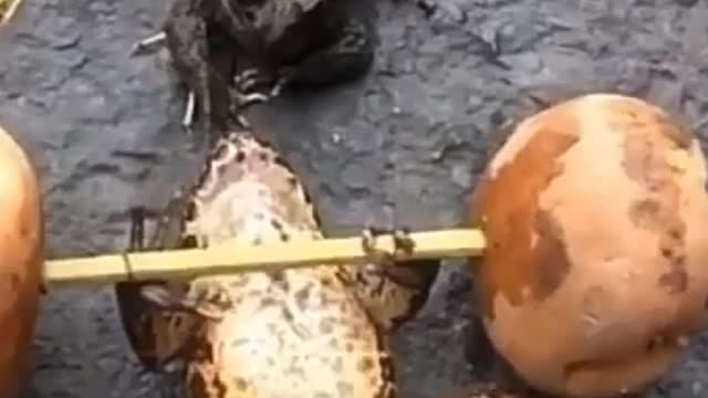 Funny Toad Carrying Weight