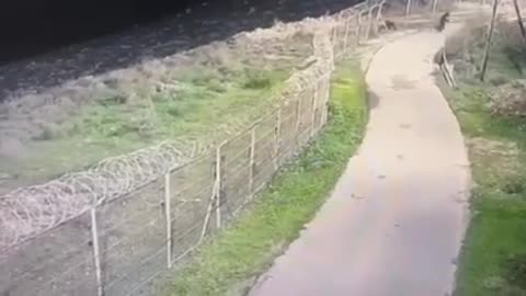 للحظة تسلل المقاومين الثلاثة لمستوطنة ادورا قرب الخليل و اشتباك مسلح واصابة مستوطن