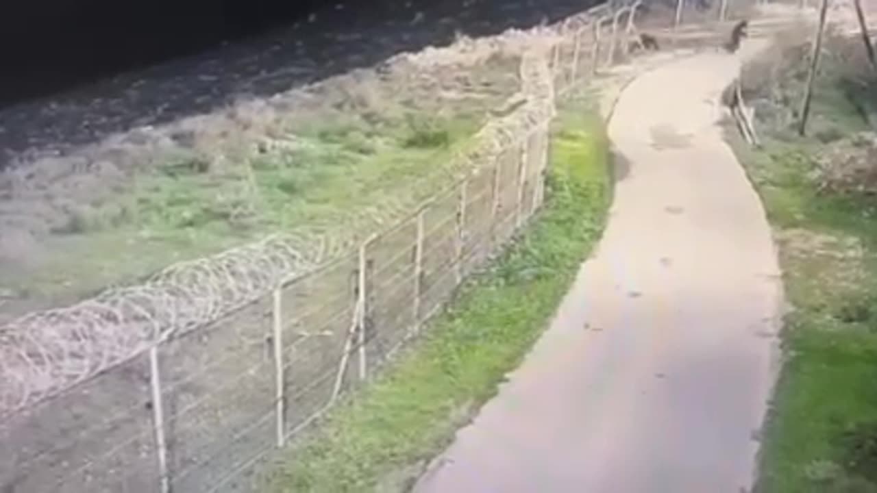 للحظة تسلل المقاومين الثلاثة لمستوطنة ادورا قرب الخليل و اشتباك مسلح واصابة مستوطن