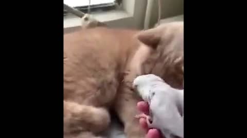 Friends forever