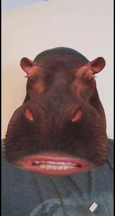 I suck my dad el Arabia the egg smasher