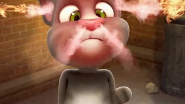 Talking Tom Funny Video