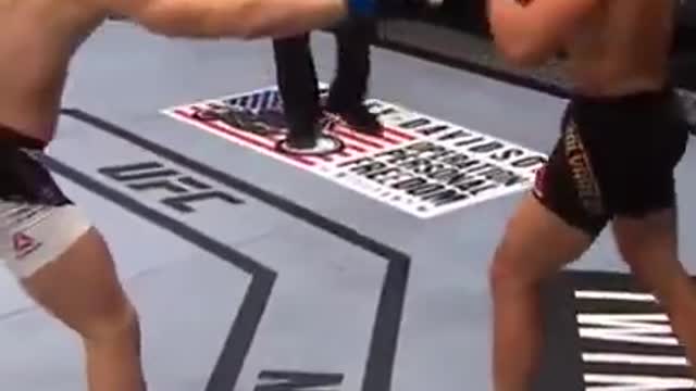 Conor McGregor vs Eddie Alvarez KO UFC Doppel Champ