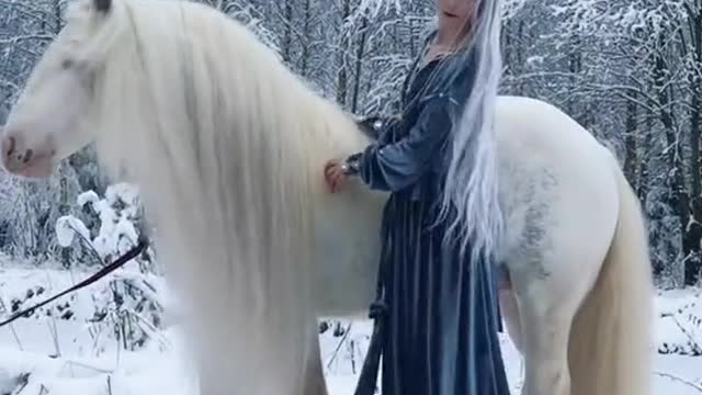 Magic horse and elf